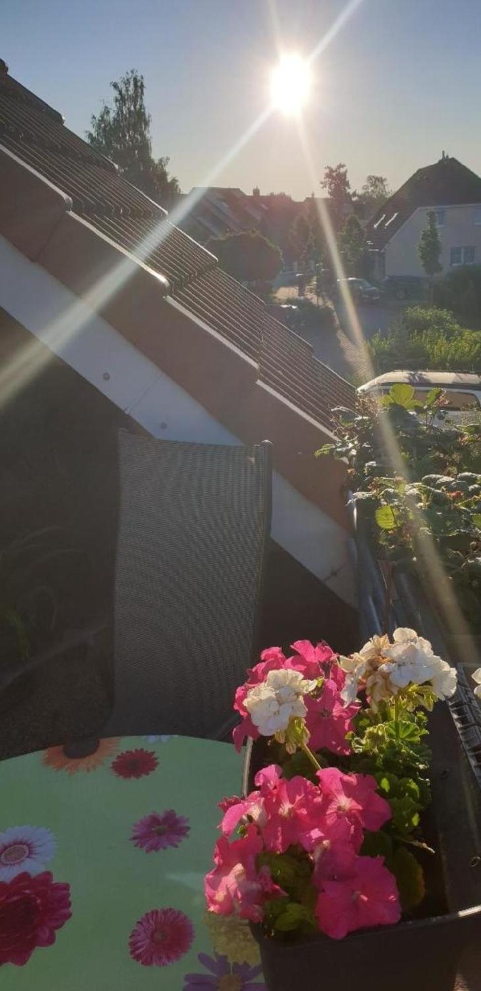 Ferienwohnung In Radeberg Bei Dresden Kültér fotó